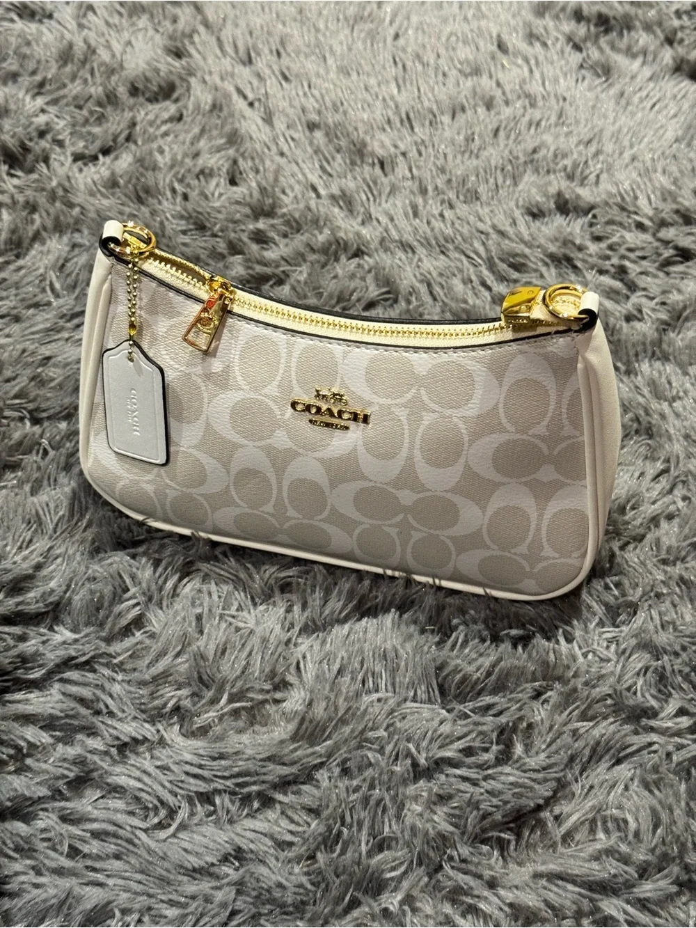 Coach Teri Shoulder Bag Signature Canvas Chalk White Gold Purse
